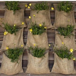Bundle Of Burlap Sacks